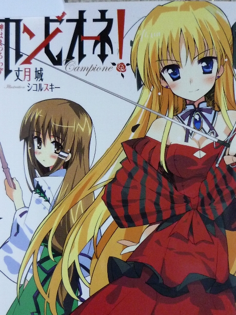 カンピオーネ！　神はまつろわす　丈月城(著)